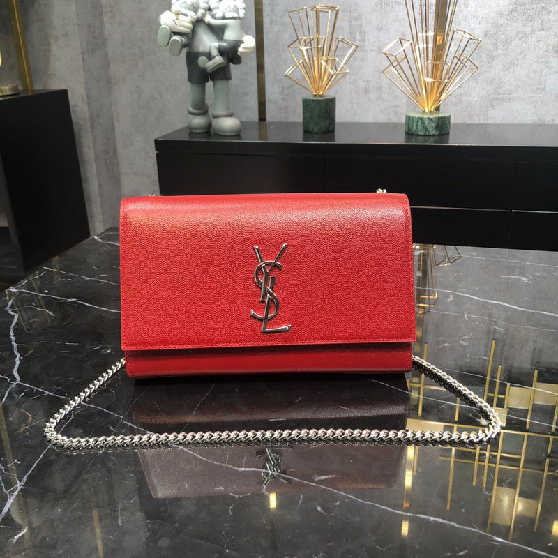 MC-YSL-Bags-3884