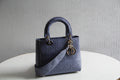 MC-Christian Dior-4363