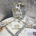 MC-Christian Dior-4400