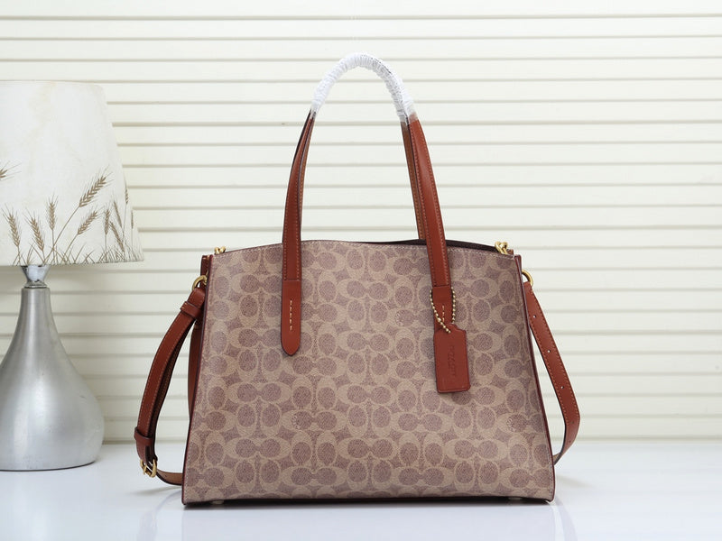 MC-Coach-378