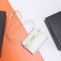 MC-YSL-Bags-3995