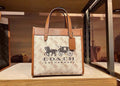 MC-Coach-383
