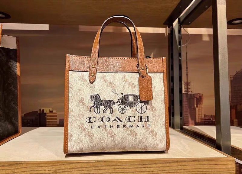 MC-Coach-383