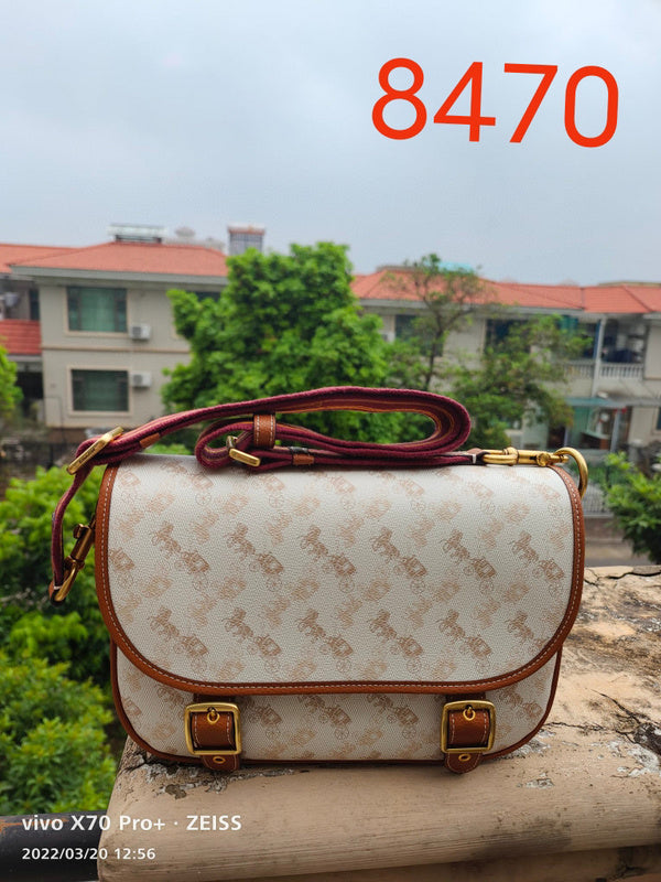 MC-Coach-386