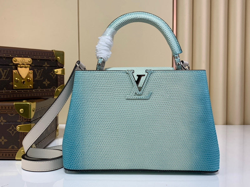 MC-LV-Bags-4904