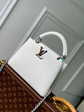 MC-LV-Bags-4909