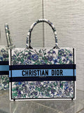 MC-Christian Dior-4553