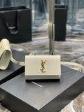MC-YSL-Bags-4146