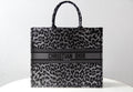 MC-Christian Dior-4613