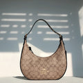 MC-Coach-395
