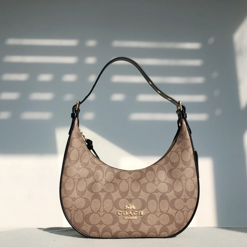 MC-Coach-395