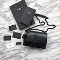 MC-YSL-Bags-4274