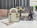 MC-Christian Dior-4763