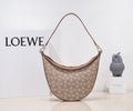 MC-Loewe-1370