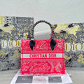 MC-Christian Dior-4870