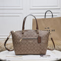 MC-Coach-422