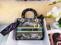 MC-Christian Dior-5000