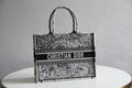 MC-Christian Dior-5013
