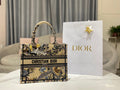 MC-Christian Dior-5191