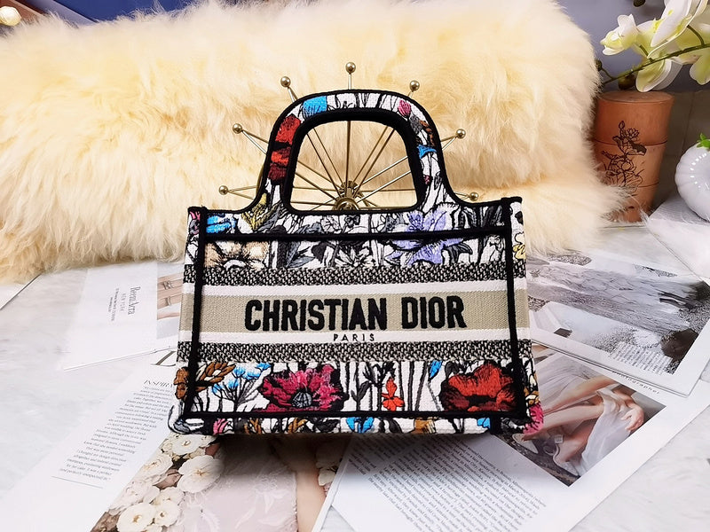 MC-Christian Dior-5266