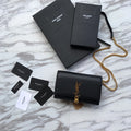 MC-YSL-Bags-4814