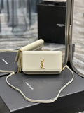 MC-YSL-Bags-4852